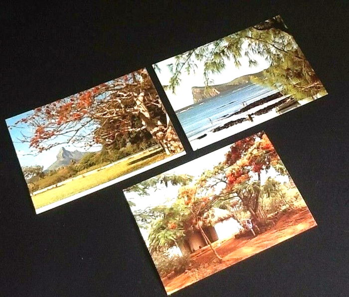3 Cartes postales Ile Maurice Montagne du Rempart /Le coin de Mire /Une cabane de la Campagne