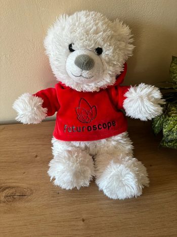 Doudou peluche ours blanc pull rouge capuche futuroscope