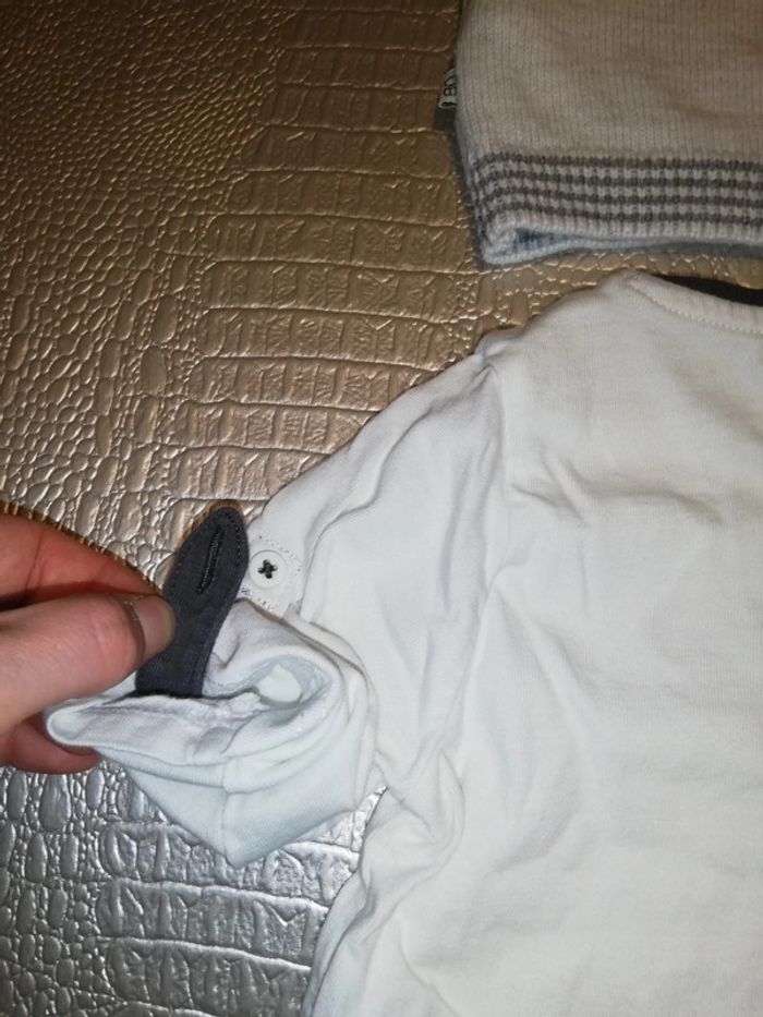 Tee shirt et pull chien - photo numéro 6