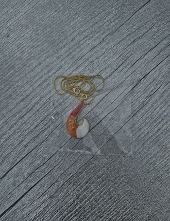 Bijou Miraculous du renard – univers Ladybug (livre)