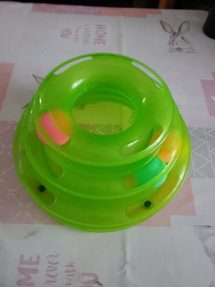 Jeux  pour chats - photo numéro 3