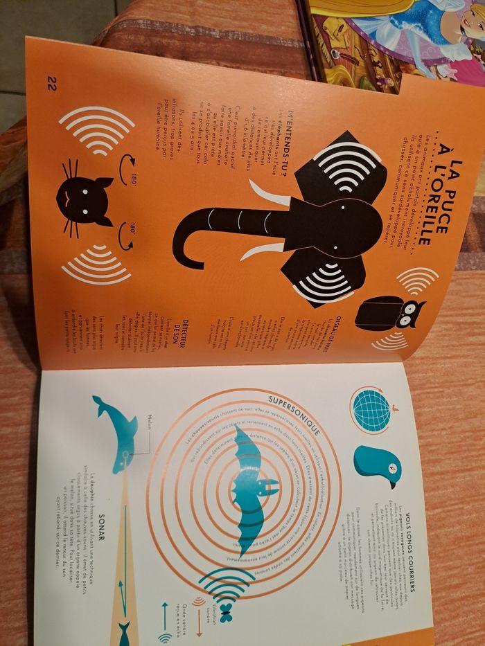 Le plein de choses - photo numéro 3