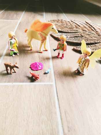 🧚Playmobil lot de figurines animaux fée nymphe