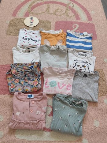 Lot 11 t-shirts ML 12 mois