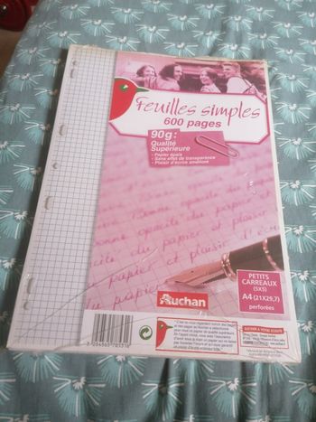 Feuille simple pour classeur