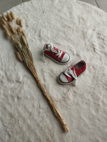 Chaussure en toile