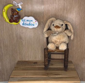 HD90 doudou lapin 🐰 histoire d’ours