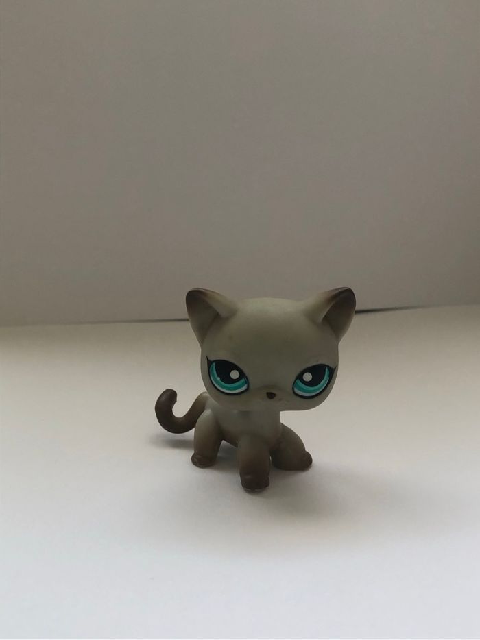 Pet shop : chat égyptien #391 - photo numéro 2