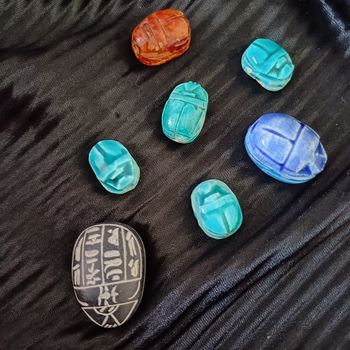 Lot de scarabée différents taille