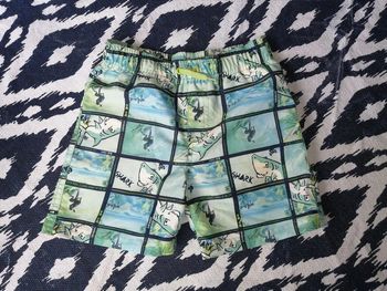 Short de bain, vert/bleu, théme surf, Lupilu, 110/116 cm, 4/6ans