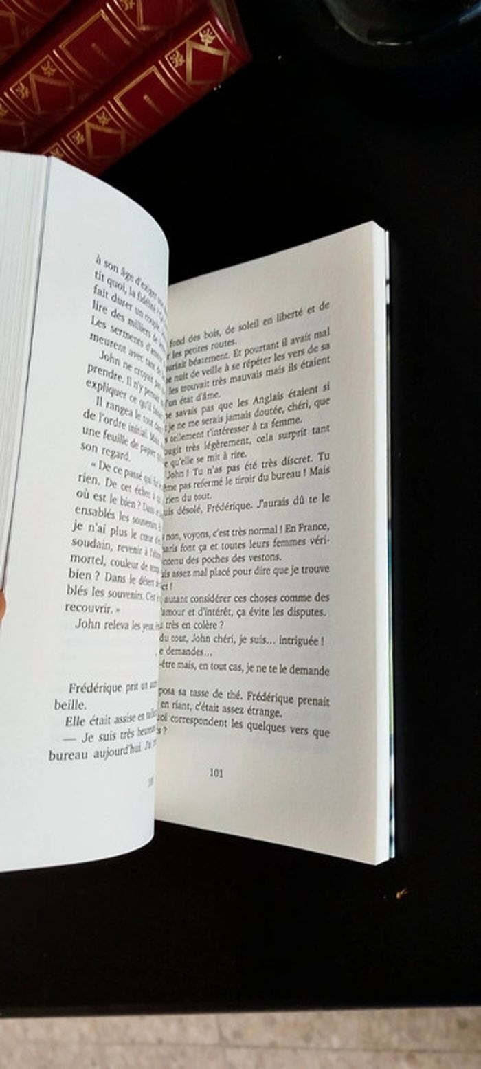 Les soleils mouillés Françoise Bourdin livre grand format - photo numéro 6