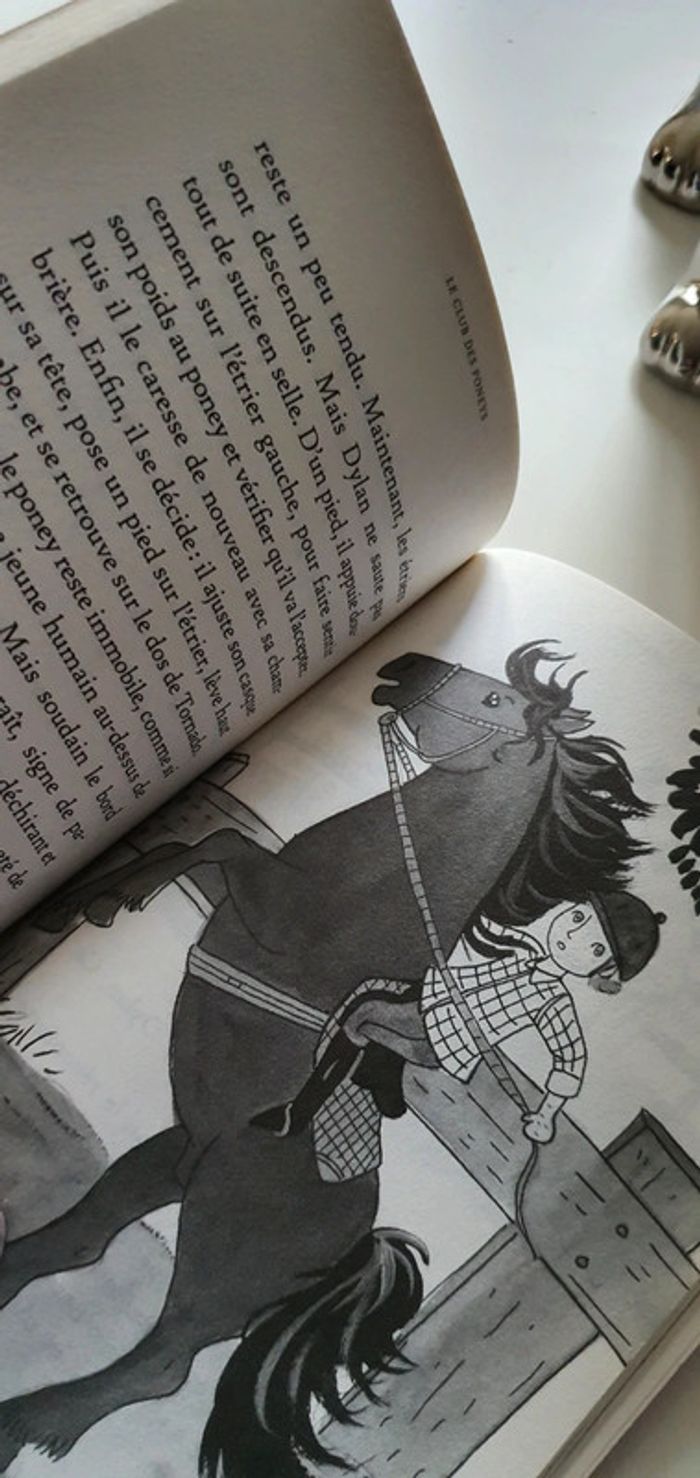 Livre enfant le club des poneys tornado l'indomptable - photo numéro 5