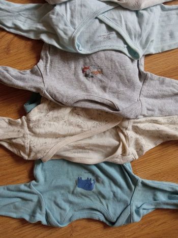Lot 6 bodies
