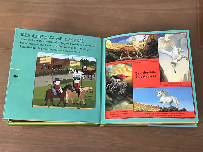 Les chevaux et les poneys KIDIDOC - photo numéro 2