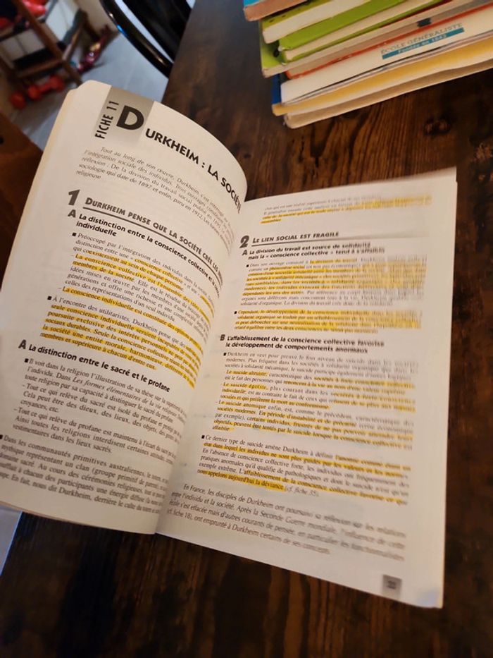 Livre : 100 fiches pour comprendre la sociologie - photo numéro 6