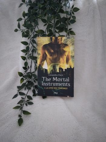 🌸Livre romance The mortal instrument 🌸
