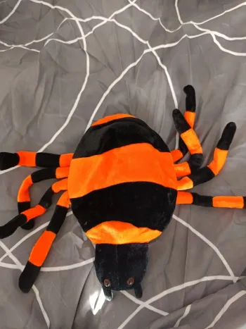 Casquette araignée