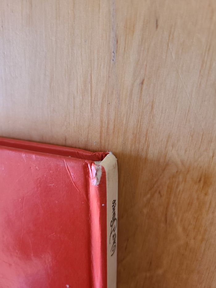 Blanche neige et les 7 nains - photo numéro 4