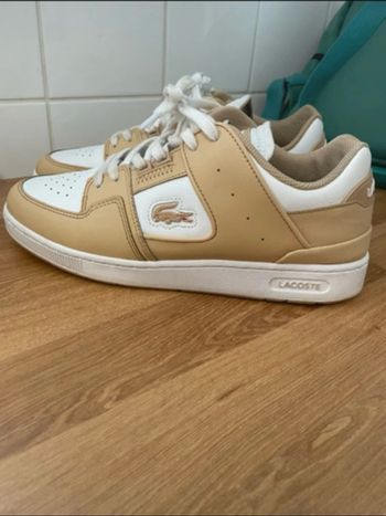 Chaussure Lacoste homme