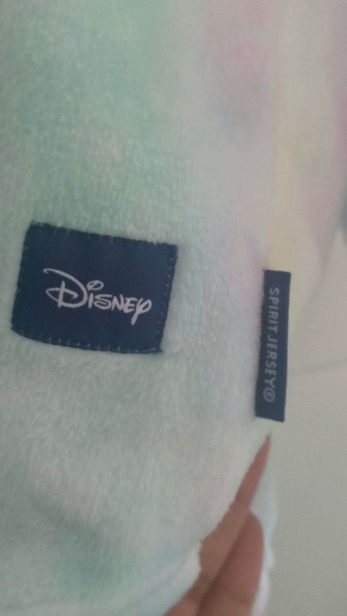 Pull spirit Disneyland - photo numéro 3