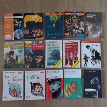 Lot de 15 livres