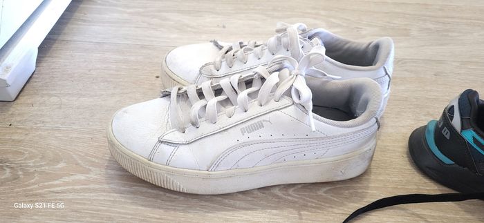 Bascket  puma