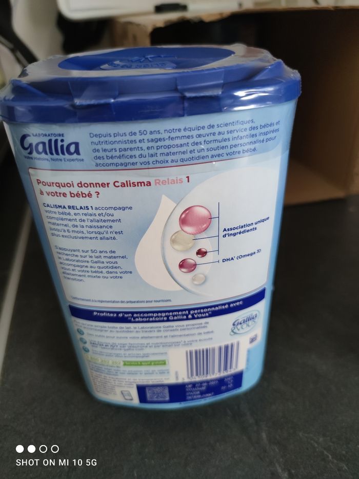 Gallia calisma - photo numéro 4