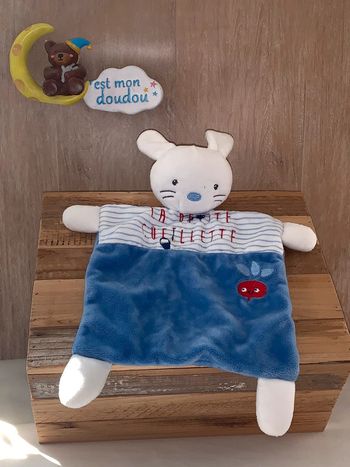 MD146 doudou lapin 🐰 mots d’enfants