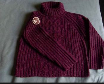 Pull col roulé Bordeaux
