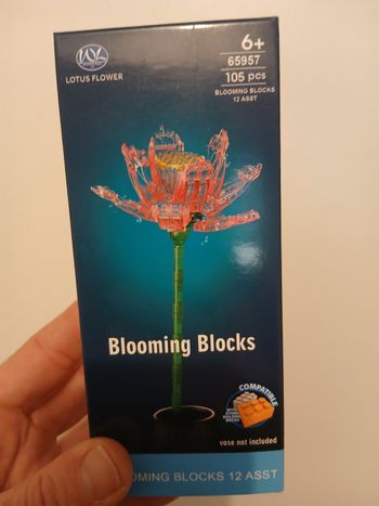 Blooming blocks 25cm