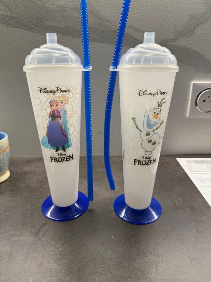 2 gourdes Disneyland Paris - photo numéro 2