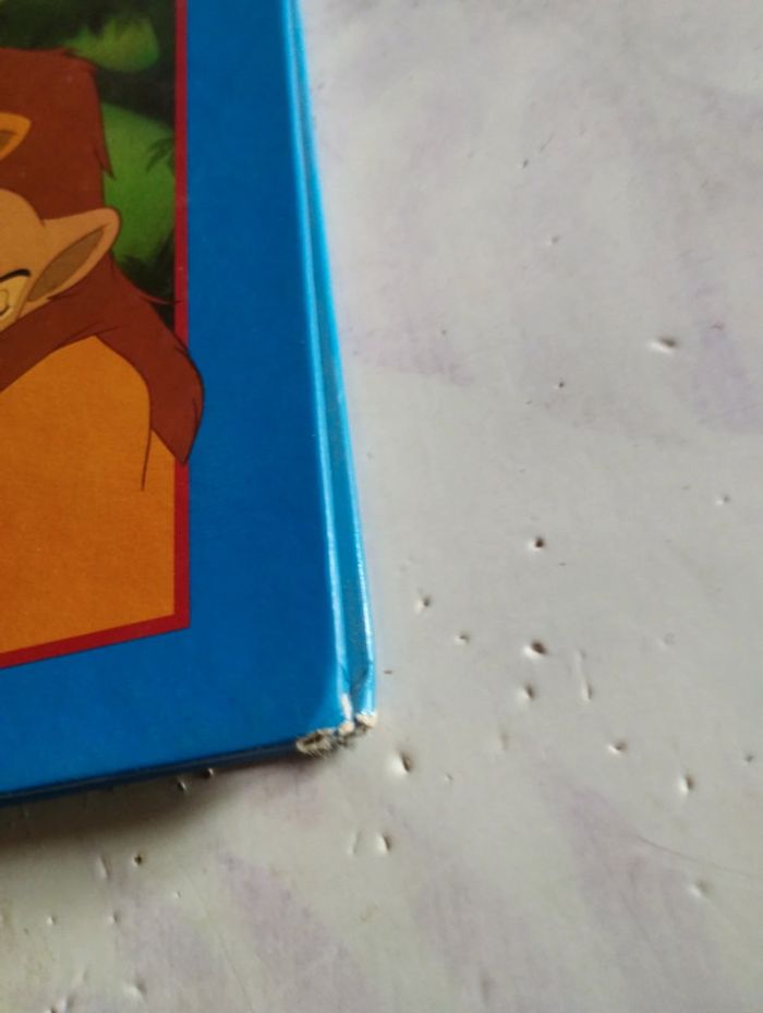 Le roi lion - photo numéro 2