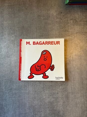 Livre Monsieur bagarreur