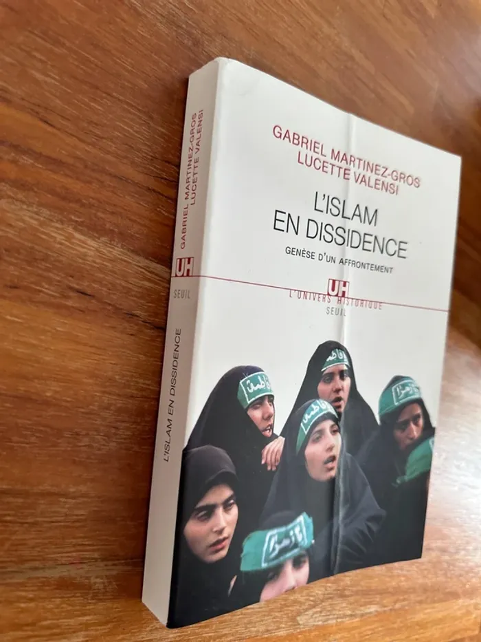 Livre l’islam en dissidence - photo numéro 2