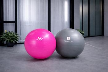 Lot de deux ballons fitness gym yoga grossesse Sveltus et XQ Max 65 cm diamètre  Très bon état