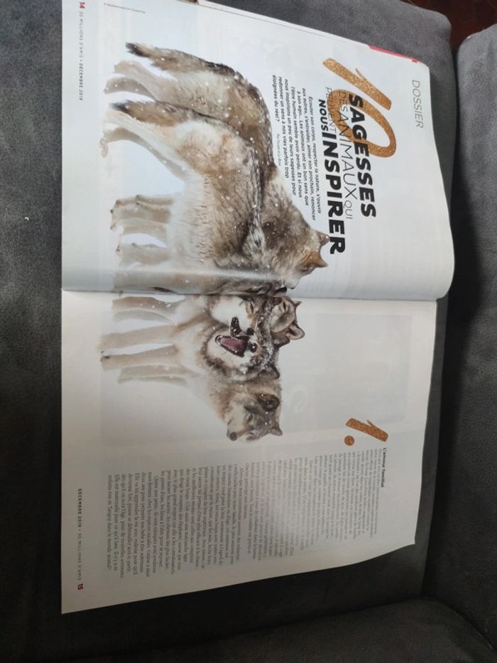 Magazine 30 millions d'amis numéro 379 décembre 2019 - photo numéro 4