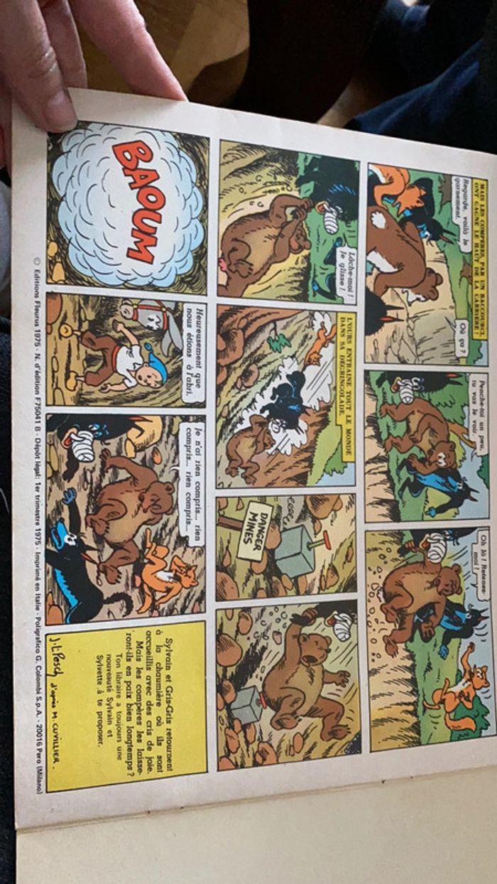 Les aventures de Sylvain et Sylvette une fausse piste - photo numéro 4