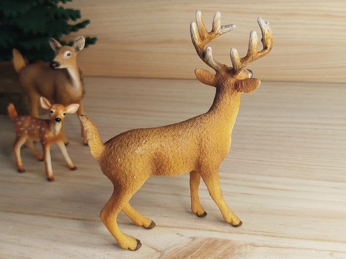 Schleich famille corvidés Figurines animal de la forêt - photo numéro 8