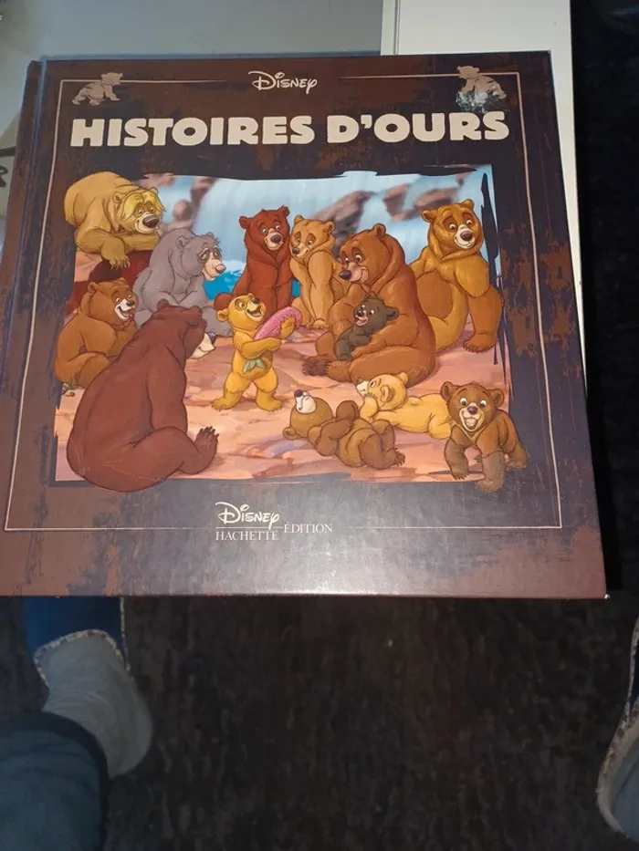 Livre disney - photo numéro 2