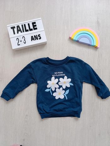 Sweat taille 2/3ans