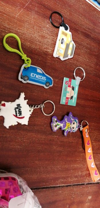 Lot de 5 porte-clés