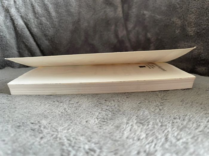 Livre dont vous êtes le héros le château des ténèbres - photo numéro 8