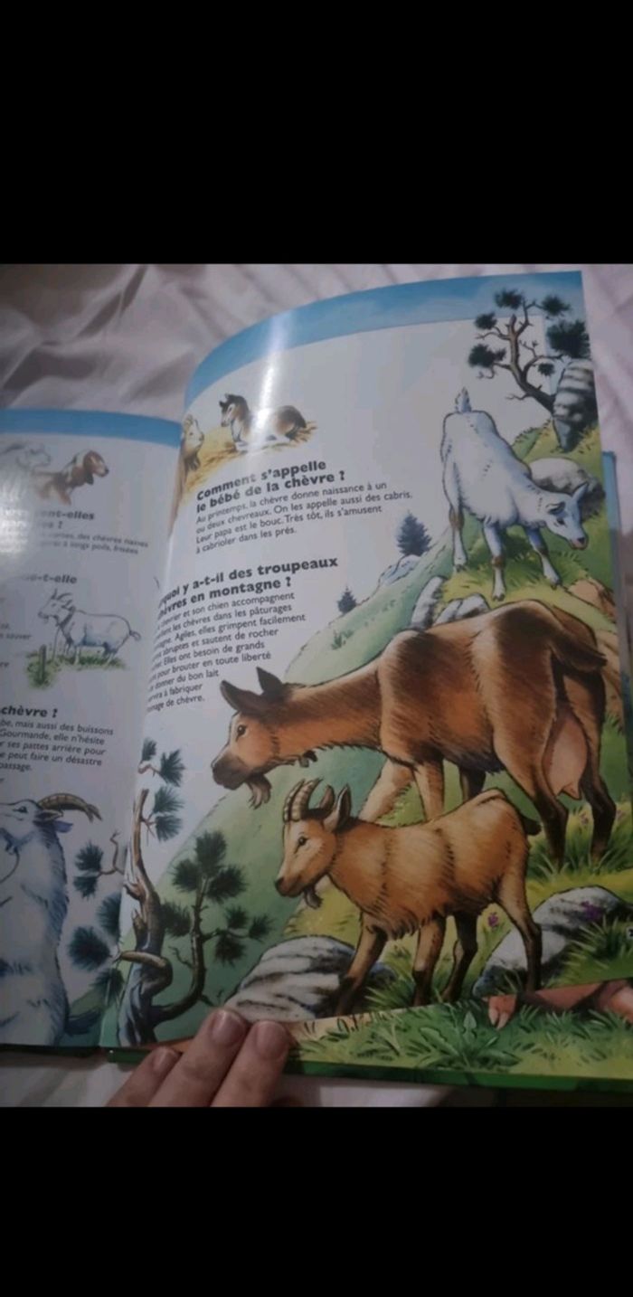 Question réponses la vie de la.ferme - photo numéro 3