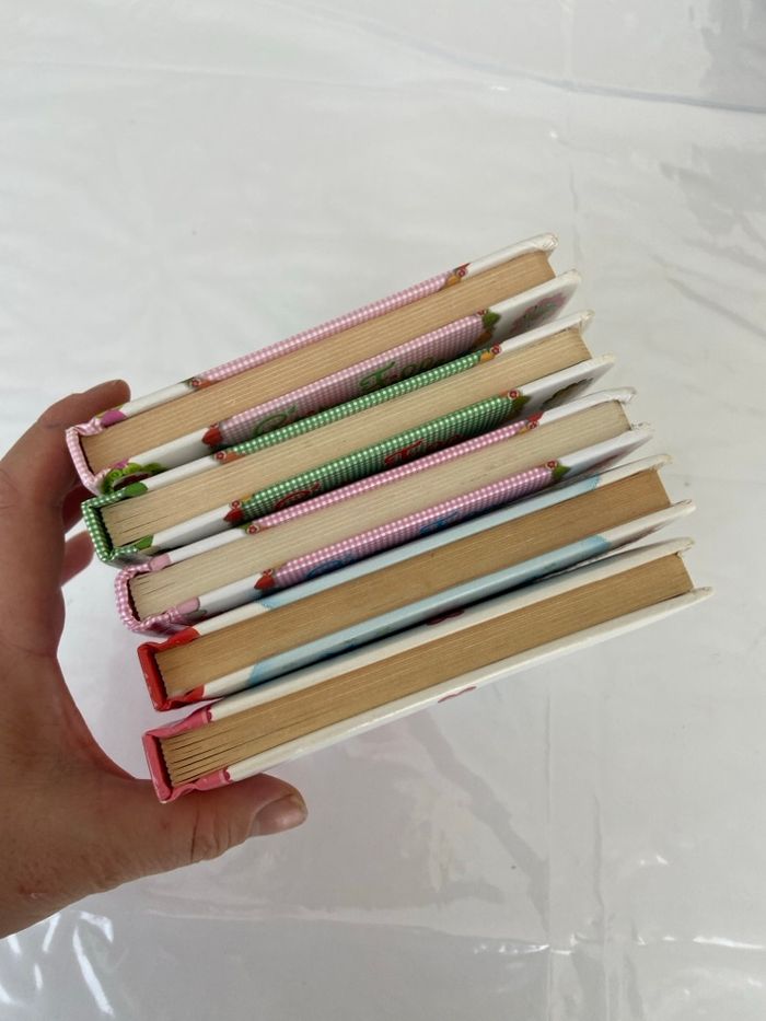 Lot de 5 Livres Cartonnés FLEURUS – Collections Petite Fille & Petites Princesses - photo numéro 4