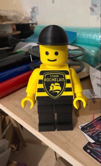 Lego Stade Rochelais 20cl 