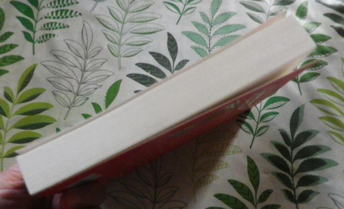 Journal d'une princesse T5 L'anniversaire d'une princesse de Meg Cabot - photo numéro 4