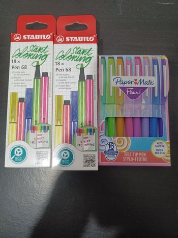 Lot de stylo feutre paper mate/stabilo