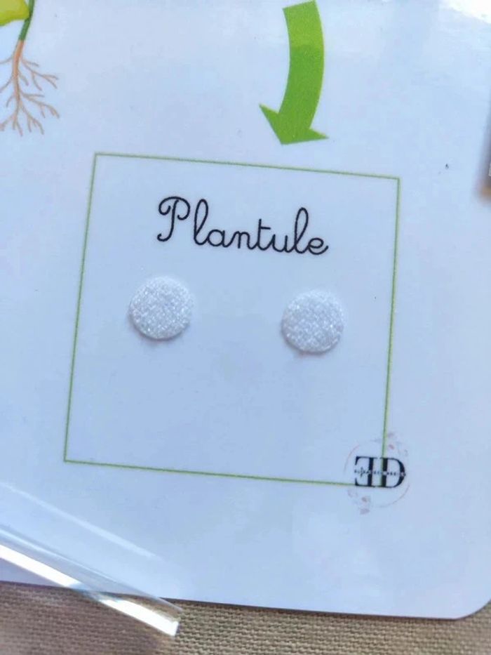 Kit cycle de vie d'une haricot + véritables graines Montessori - photo numéro 3