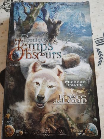 Les chroniques des temps obscurs. Tome 1