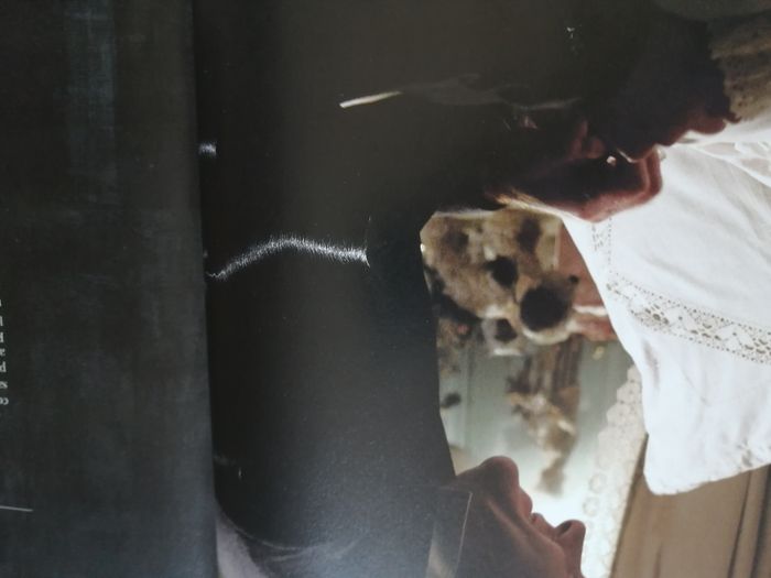 livre disney - photo numéro 9